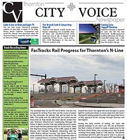 City Voice Current Edition